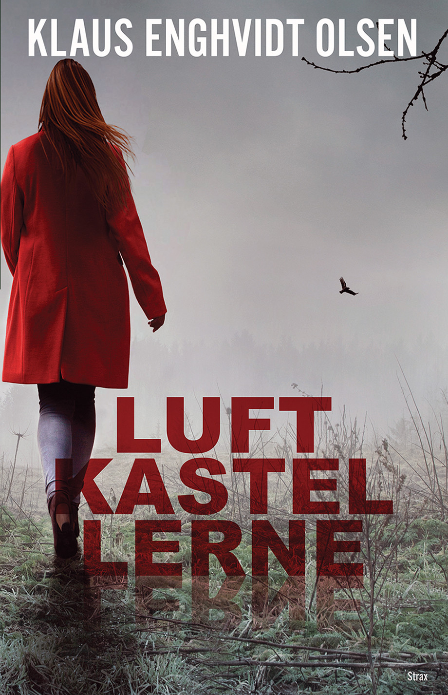 Luftkastellerne - E-bog