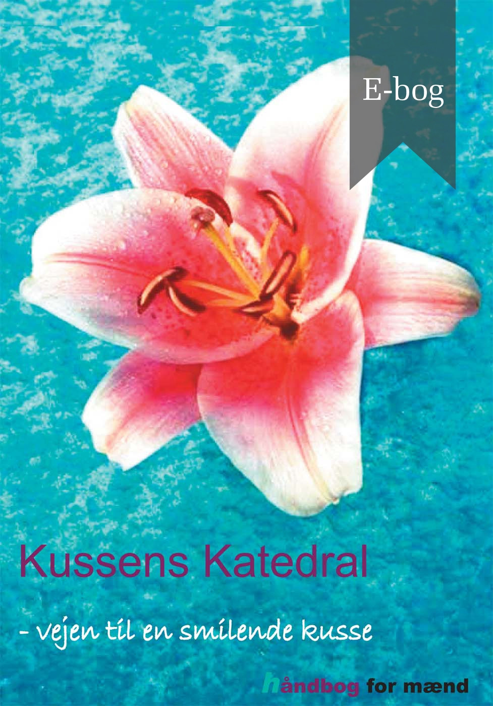 Kussens katedral - Ebog