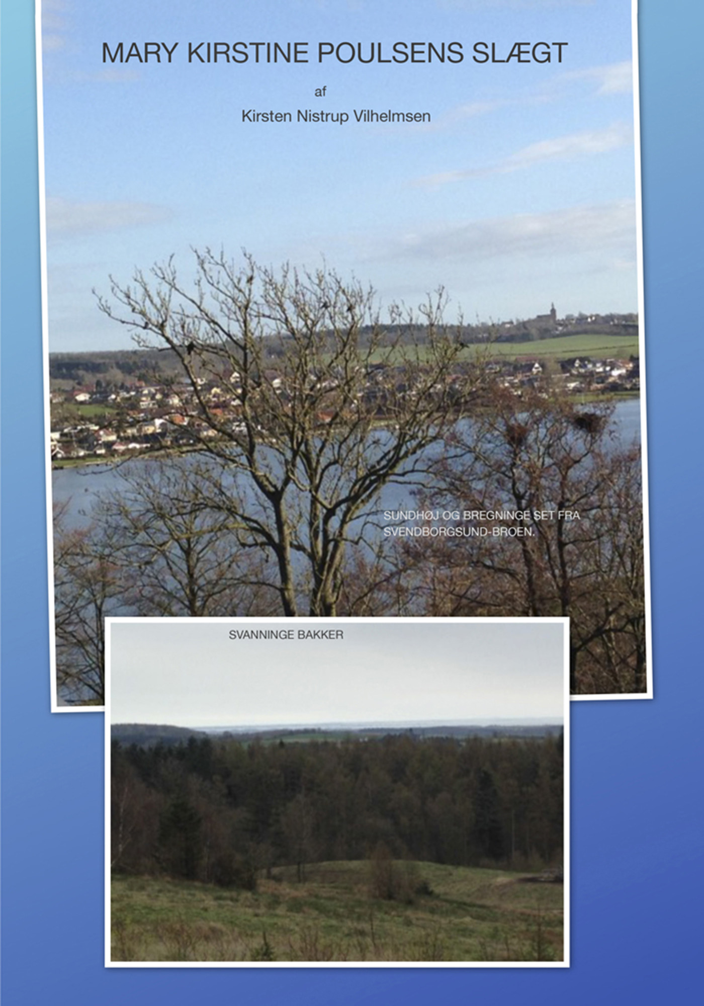 Mary Kirstine Poulsens slægt - ebog